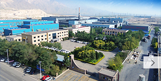 Shizuishan Pengsheng Chemical Co., Ltd